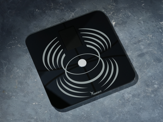 Beebird Scaleist BS-01 智能体重秤