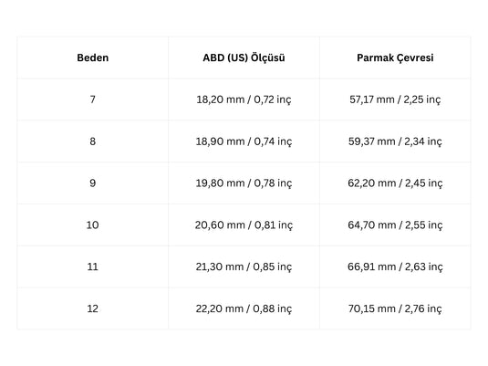 Beebird Akıllı Sağlık Yüzüğü - Haziran Ön Sipariş